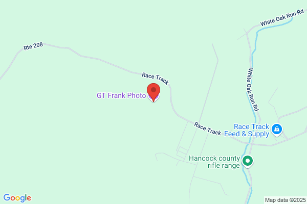 GT Frank Photo