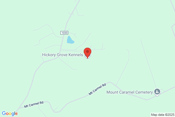 Hickory Grove Kennels