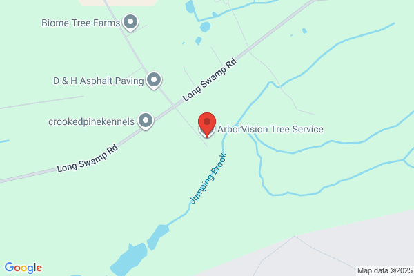 ArborVision Tree Service