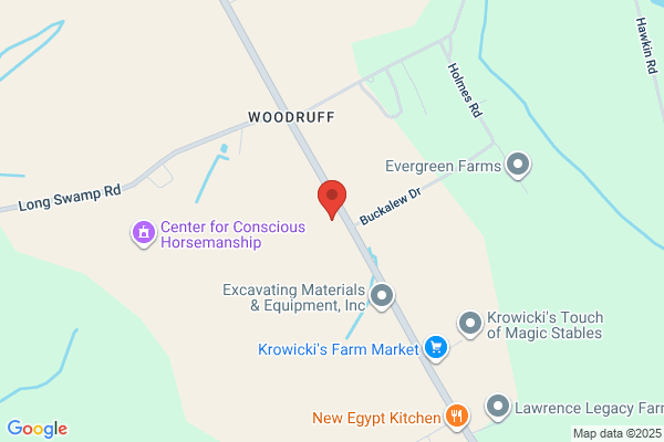 Mancini Disposal & Recycling Inc