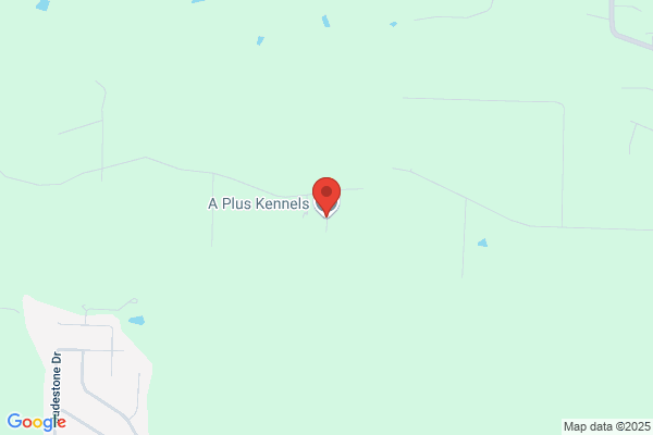 A Plus Boarding & Grooming Kennels
