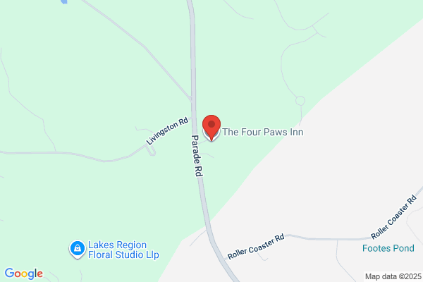 Four Paws Inn Llc