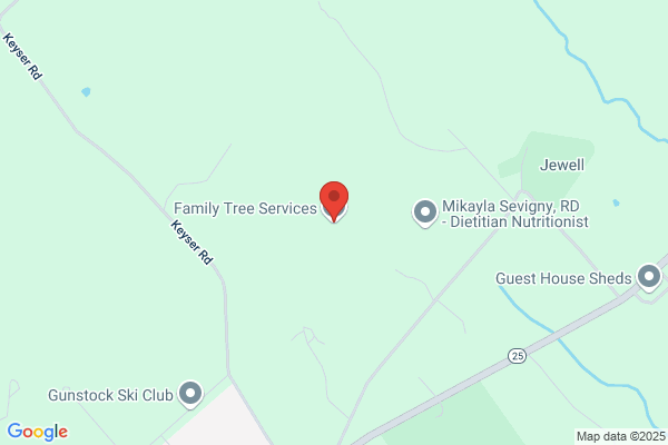 The Family Tree Service