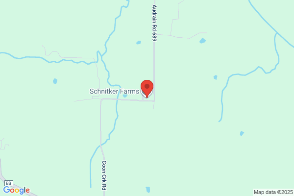 Schnitker Beth Insurance