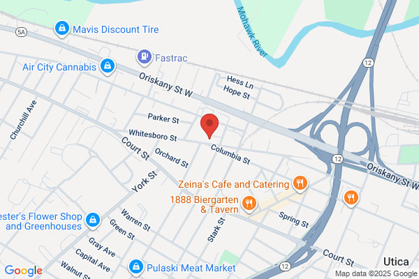 Gemini Pets And Things