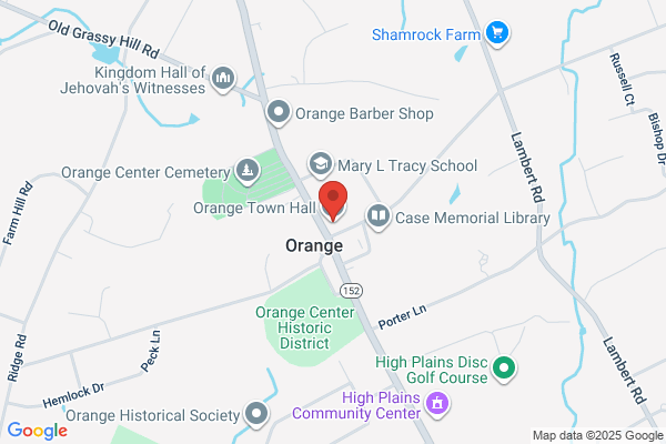 Marriage Licenses, Orange