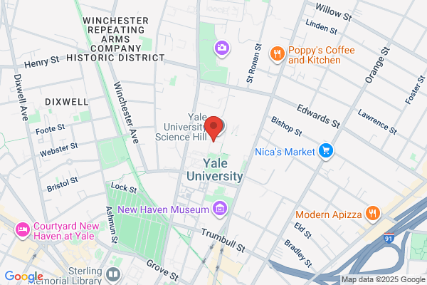 Yale University, Libraries, Social Science Libraries