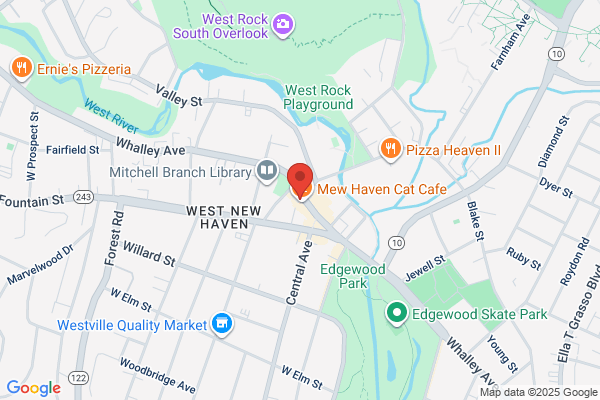 Racquet Koop New Haven