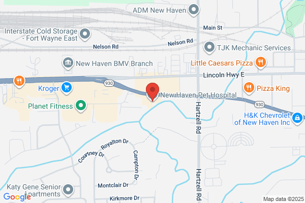 New Haven Pet Hospital