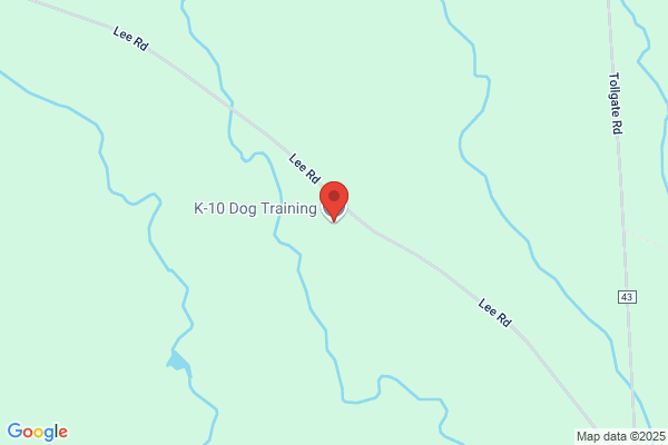 K-10 Dog Training