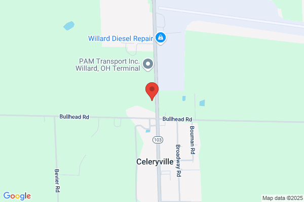 Cdl State Licensing