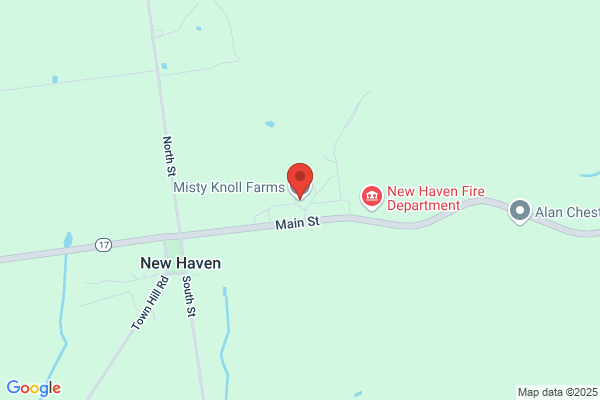 Misty Knoll Farm