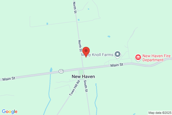 New Haven Town of, Town Clerk