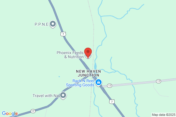Phoenix Feeds & Nutrition