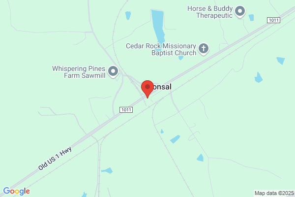 New Hope Valley Railway