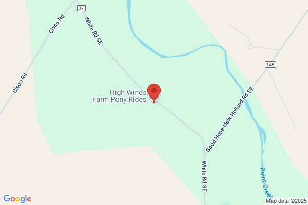 High Winds Farm Pony Rides