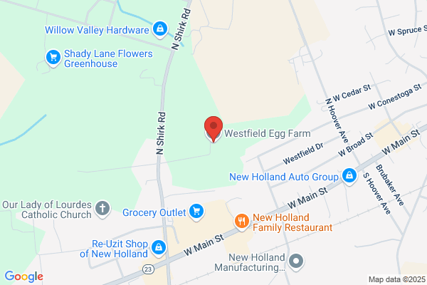 Westfield Egg Farms