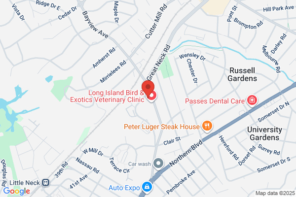 Northern Boulevard Collision - Auto Body Repair