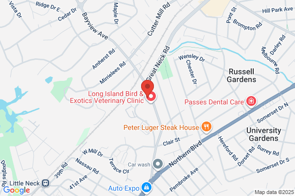 North Shore Auto Salon and Collision