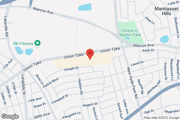 Childrens Place Inc the