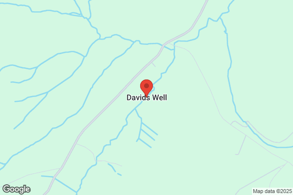 David S. Well, MD