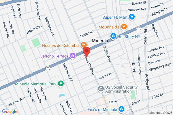 250 Mineola Blvd, Mineola Blvd Mineola, NY