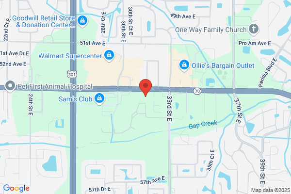 Katie's Cafe