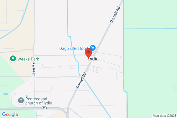 Lydia Food Store