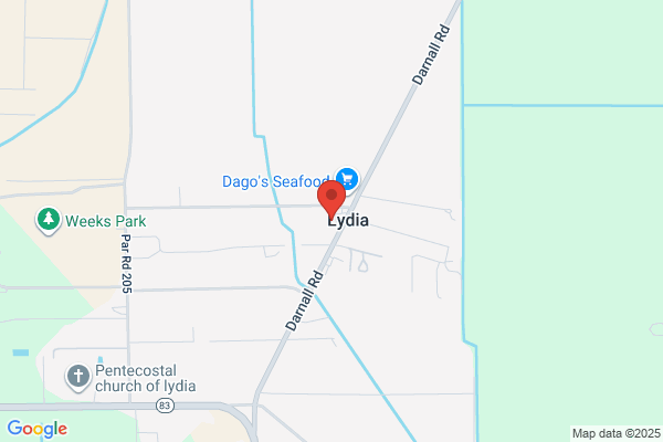 New Lydia Food Store