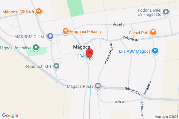 Magoc's Salon