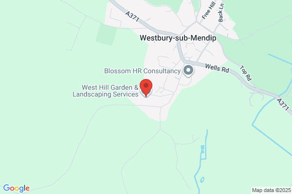 West Hill Garden & Landscape Design