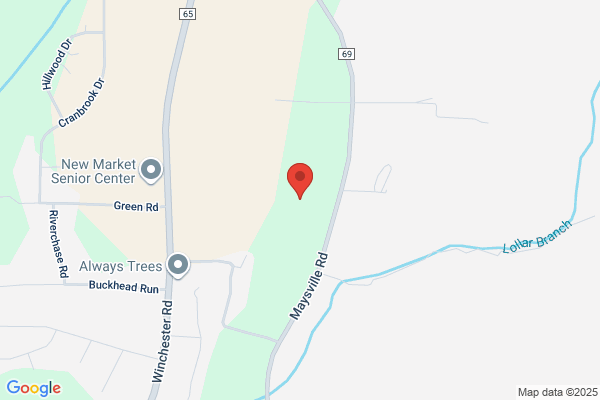 Madison County Termite Services