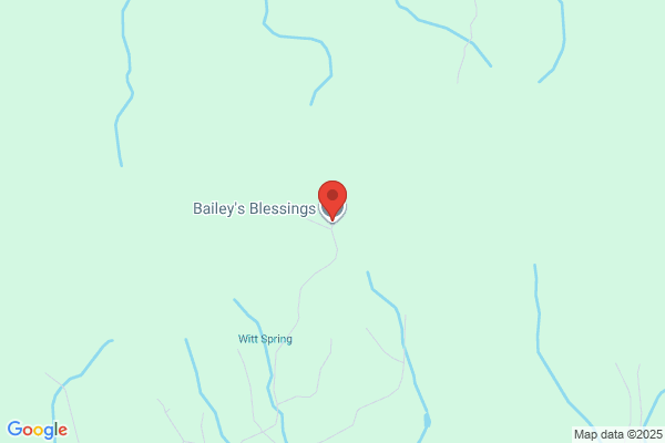Bailey's Blessings, Inc