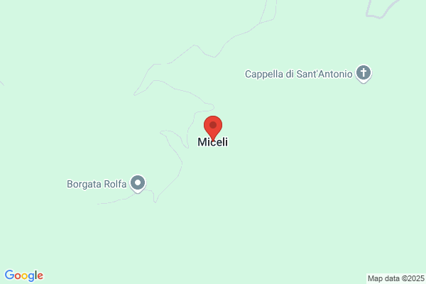 Miceli M Veronica Sister Op