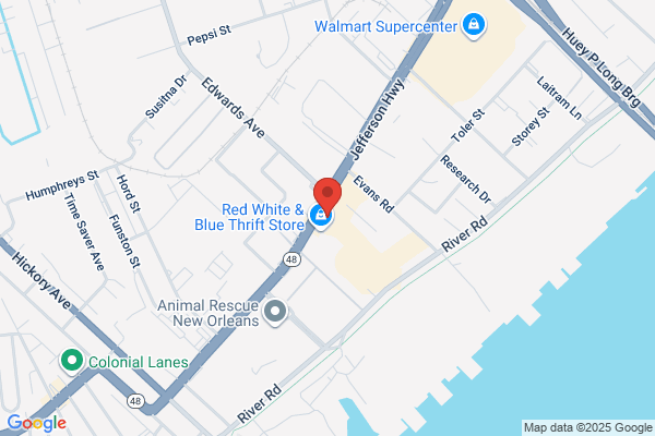 Italian Pie