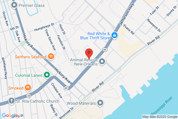 Oasis Casino