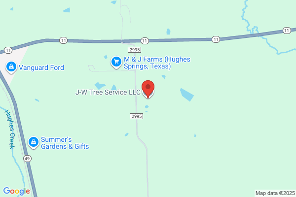 J & W Tree Service Llc