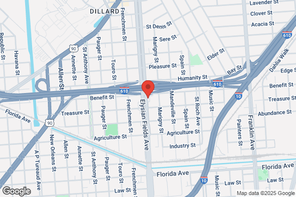 Chevron Elysian Fields