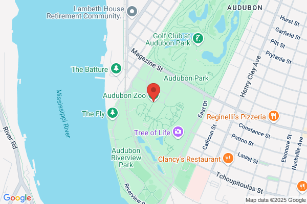 Audubon Zoo