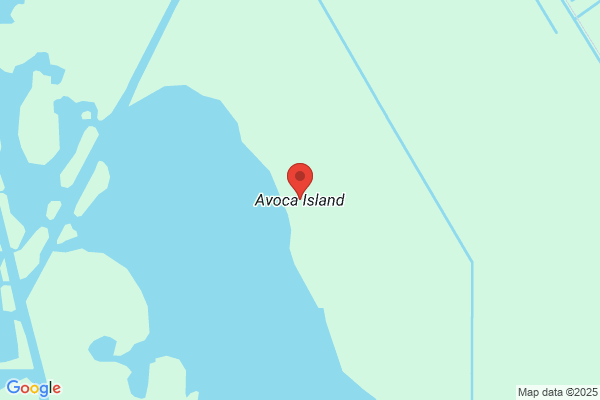 Avoca L.L.C.