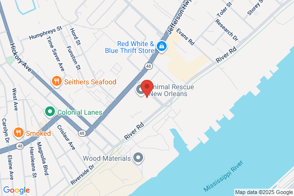 Inland Seafood Inc