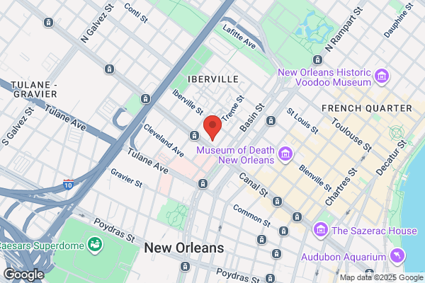 VAN Rental New Orleans - CARNGO