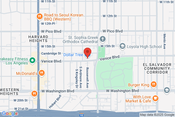 Dollar Tree Stores Inc