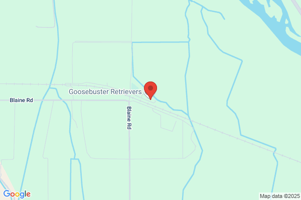 Canine Behavioral Rehabilitation Center