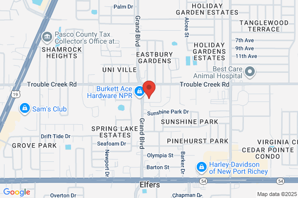 AutoZone Auto Parts