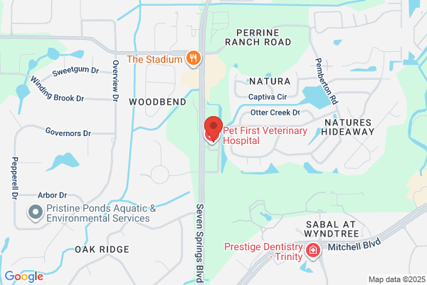New Port Richey Family History Center