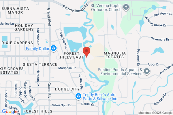 Tampa Bay Mold & Flood