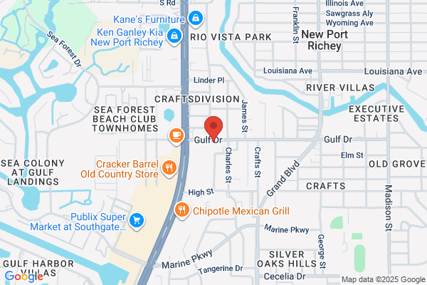 Florist In New Port Richey