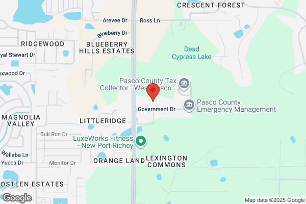 Pasco County of, Zoning Information