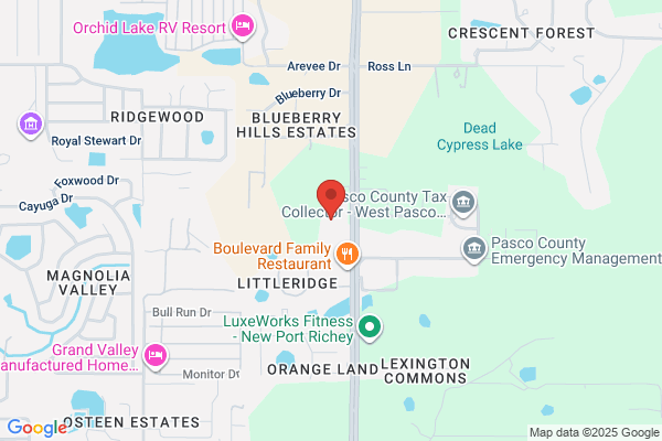 Elite DNA Behavioral Health - New Port Richey